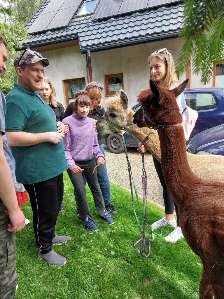 Zdjęcie przedstawiające uczestników projektu "Bo liczy się człowiek" w trakcie dogoterapii