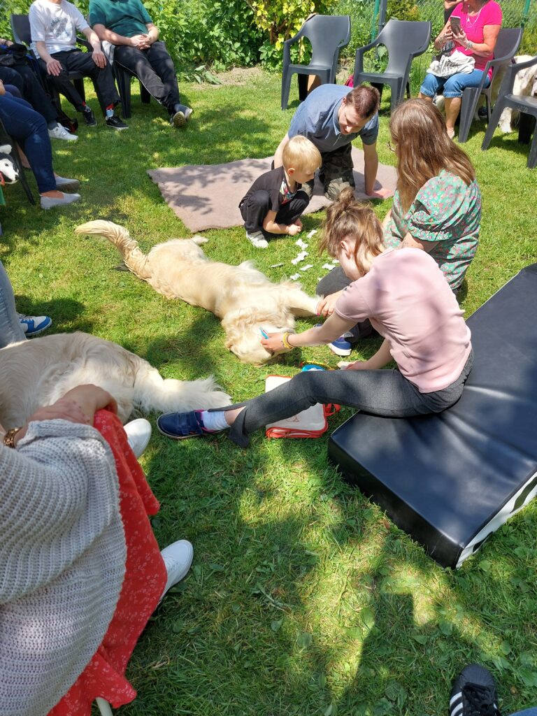 Zdjęcie przedstawiające uczestników projektu "Bo liczy się człowiek" w trakcie dogoterapii