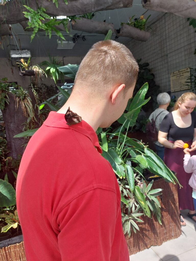 Zdjęcie przedstawiające uczestników projektu „Bo liczy się człowiek” w trakcie wizyty w motylarni