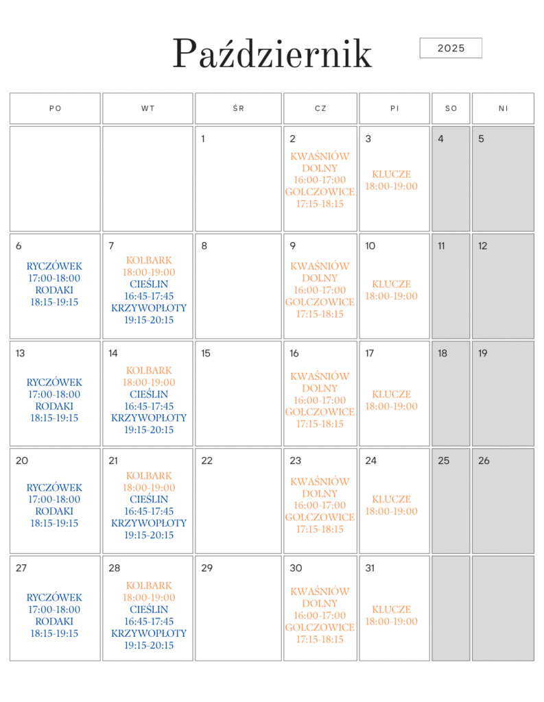 harmonogram rehabilitacji